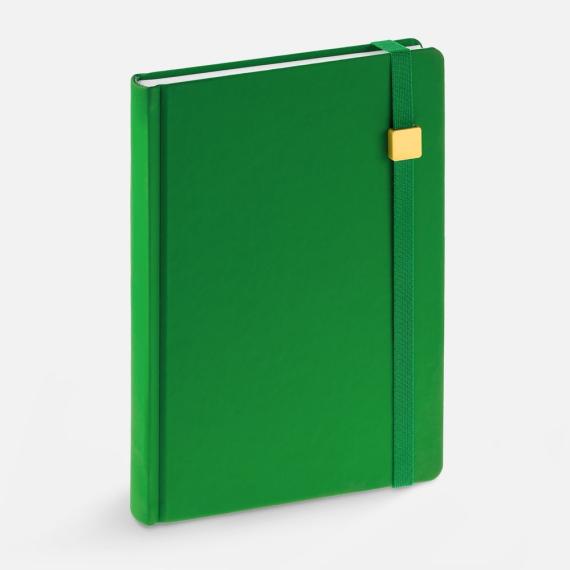 Ежедневник Favor Gold, недатированный, ярко-зеленый