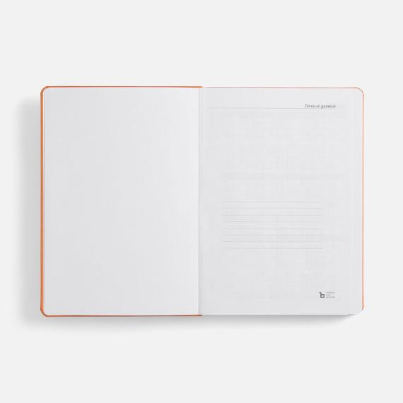 Ежедневник Basis, датированный, оранжевый